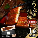 【ふるさと納税】宮崎県 宮崎市産 うなぎの蒲焼 約160g×1尾 タレ 山椒 セット うなぎ 蒲焼き うなぎ蒲焼き タレ付き 山椒付き 加工品 加工食品 惣菜 お惣菜 おかず グルメ おすすめ お取り寄せ お取り寄せグルメ ギフト 贈り物 ご褒美 冬うなぎ 宮崎県 宮崎市 送料無料