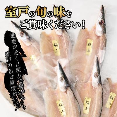 ふるさと納税 室戸市 トロカマス干物8枚定期便【全3回】 |  | 02