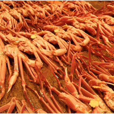 ふるさと納税 鯖江市 【11月6日漁解禁】福井冬の味覚!越前がに 1杯 (800〜900g) |  | 03