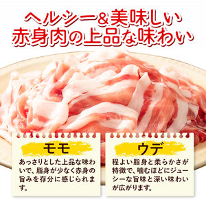 【6ヶ月定期便】熊本県産 豚肉 モモスライス ウデ こま切れ セット 合計 約18kg 約3kg×6回 植田商事有限会社 《お申し込み月の翌月から出荷開始》 熊本県 菊池市 モモ ウデ 詰め合わせ 豚
