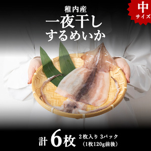 稚内産 するめいか一夜干し 中2枚入×3セット(合計6枚)【配送不可地域：離島】【1225383】