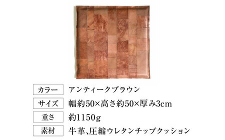 レザー座布団 tunagu 50 [AOBI011] インテリア