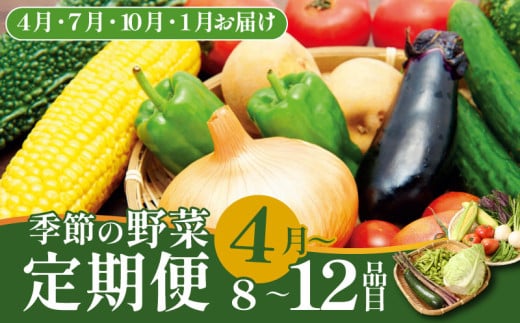 【4月開始】 野菜定期便 年4回 8～12種類 数量限定 野菜 定期便 セット 詰め合わせ 旬 おまかせ 野菜BOX 詰め合わせ 野菜定期便 ふるさと納税野菜 やさい ていばん セット 産地直送  せいだ 新潟 新発田 seida010_01