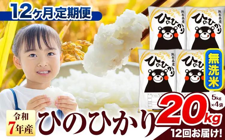 12ヶ月定期便 R7年産 無洗米 ひのひかり 20kg