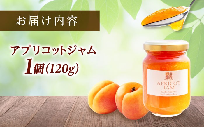 完熟あんずをたっぷり使った贅沢なジャム 杏 アプリコット 果物 フルーツ あんず