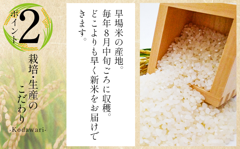【7日程度で発送】新米 令和7年産 コシヒカリ 2kg - お米 おこめ 国産 米 精米 こしひかり ごはん 白米 ご飯 おにぎり おむすび 料理 調理 防災 非常食 備蓄 早い すぐ届く 早く届く 