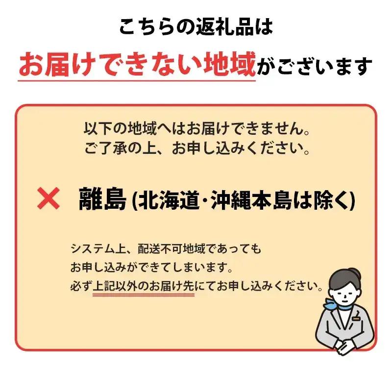 活き 伊勢海老 (刺身可) 2尾 約500g【 イセエビ 伊勢海老 】