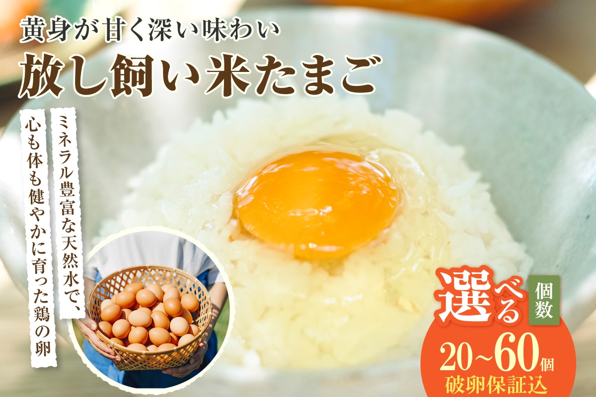 
            放し飼い米たまご　単品　20個から60個　選べる個数【JGAP認証】
          