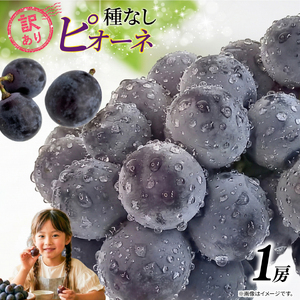 訳あり ピオーネ 1房 450g 以上 ぶどう 数量限定 種なし ぶどう