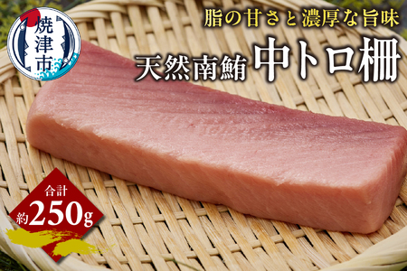 天然 南まぐろ 中トロ柵 約250g (a14-111)
