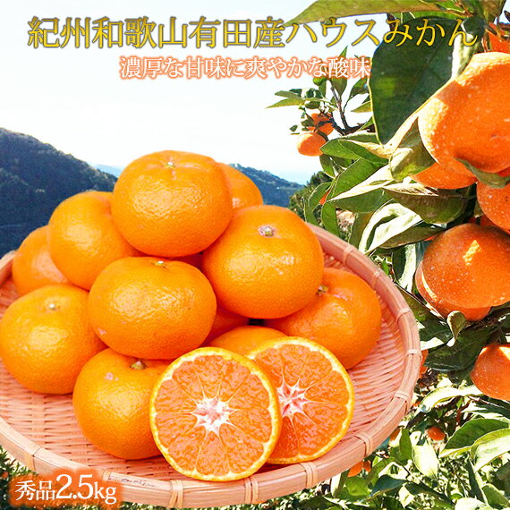 【ふるさと納税】 ハウス みかん 秀品 2.5kg / 温州みかん 有田みかん 甘い 高級 和歌山 柑橘 化粧箱入 ※6月下旬頃～7月下旬頃に順次発送予定 ※離島への配送不可