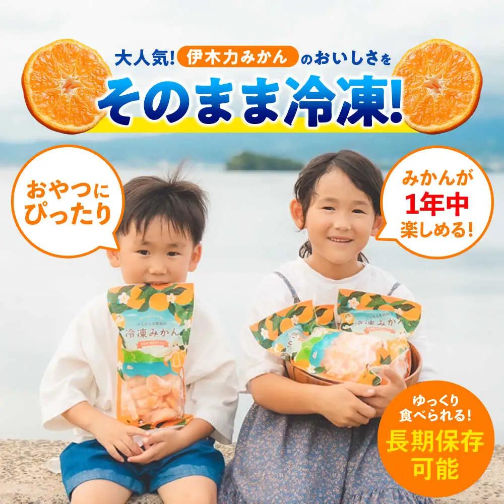 冷凍みかん 1.6kg(400g×4袋)  冷凍 伊木力みかん AHCF006