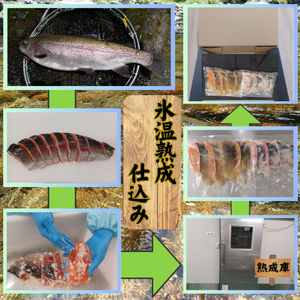 甲斐サーモン　 【氷温熟成仕込み】西京漬け＆塩こうじ漬け
