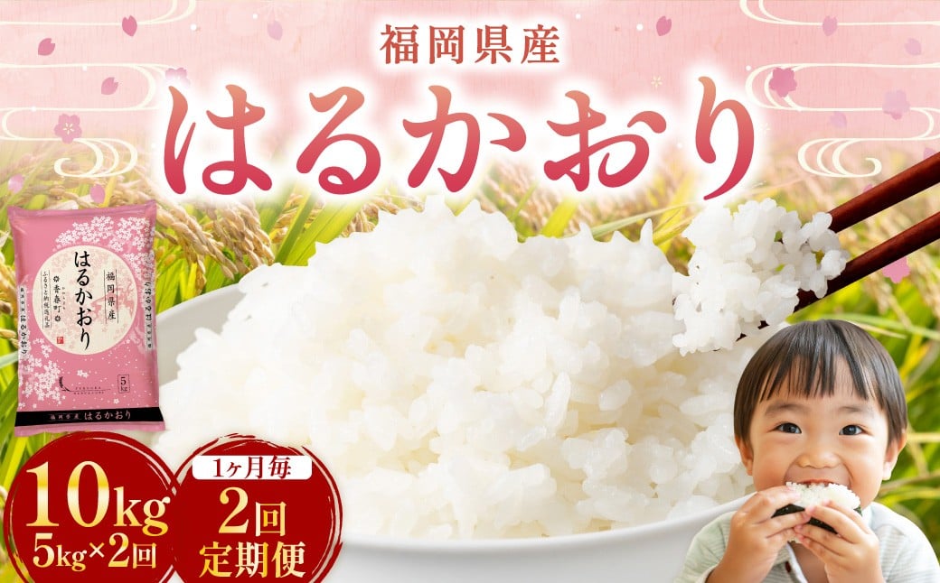 
            【 1ヶ月毎2回定期便 】 はるかおり 5kg 計10kg ／ 米 コメ お米 ライス ご飯 ごはん 飯 食品 精米 定期便 常温 福岡県 香春町
          