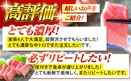 【大好評につき最大3ヶ月待ち】長崎県産 本マグロ「中トロ」(約700g) まぐろ マグロ 中トロ 鮪 まぐろ マグロ 中トロ まぐろ マグロ 中トロ さしみ 刺身 まぐろ マグロ 刺し身 マグロ まぐ