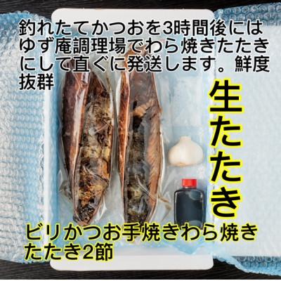 ふるさと納税 南国市 もちもち食感!ビリかつおわら焼きタタキ300g×2節(タレ・ニンニク付)