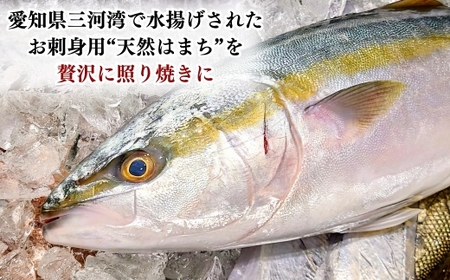 岬だより 天然はまちの醤油漬け 10袋セット 個包装