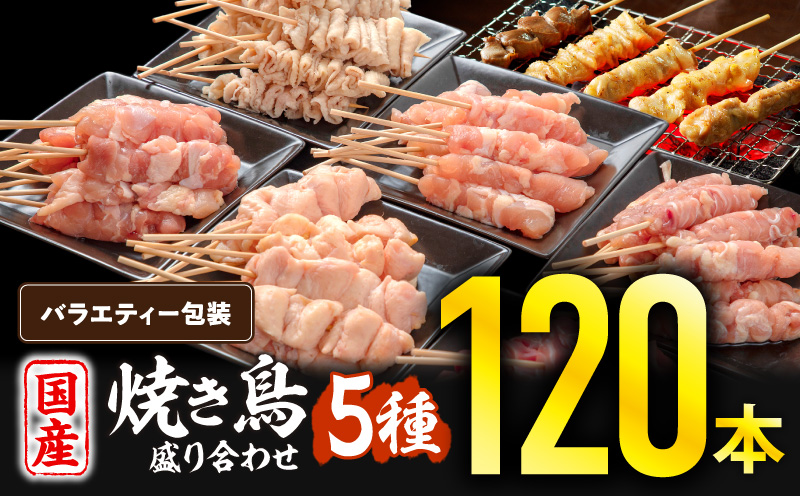 若鶏の焼き鳥セット5種(120本)バラエティーセット 焼き鳥 炭火焼 串焼き もも串 せせり 皮串 ぼんじり 砂肝 炭火焼 BBQ バーベキュー おかず_M146-016-01