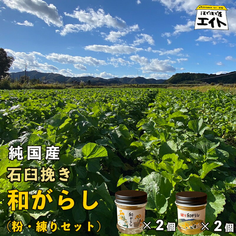 【ふるさと納税】純国産石臼挽き和がらし 4個セット（ 粉和がらし2個 / 練り和がらし2個 ）【 国産 からし 和辛子 辛子 石臼挽き セット 和がらし 詰め合わせ ギフト 農家直送 贈答 プレゼント 京都 綾部 】