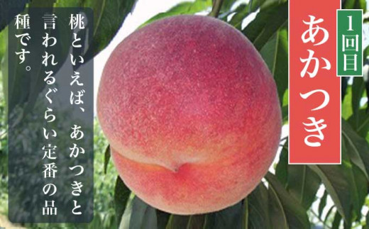 小布施町 桃の食べ比べ定期便 約1.8kg×3回 ［小布施屋］ 桃 もも モモ フルーツ 果物 冷蔵便 クール便 長野県産 令和7年産【2025年7月末～9月上旬発送】