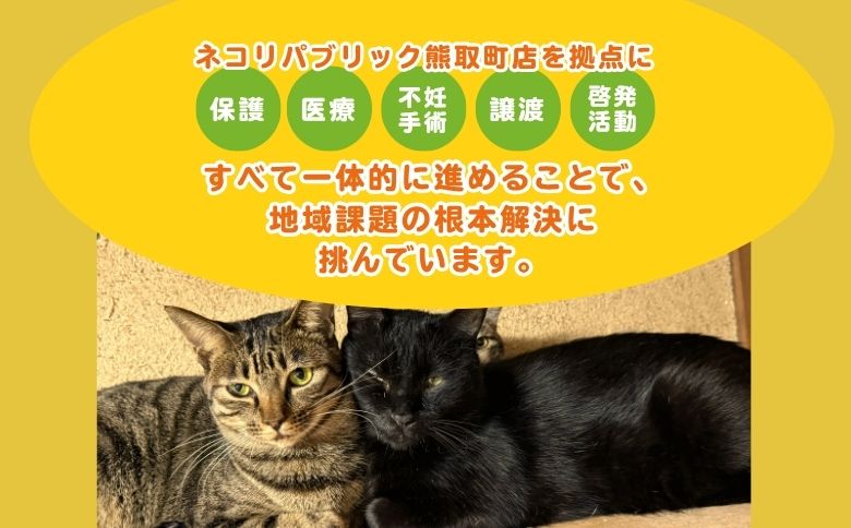 保護猫の医療費支援チケット（047_5004）