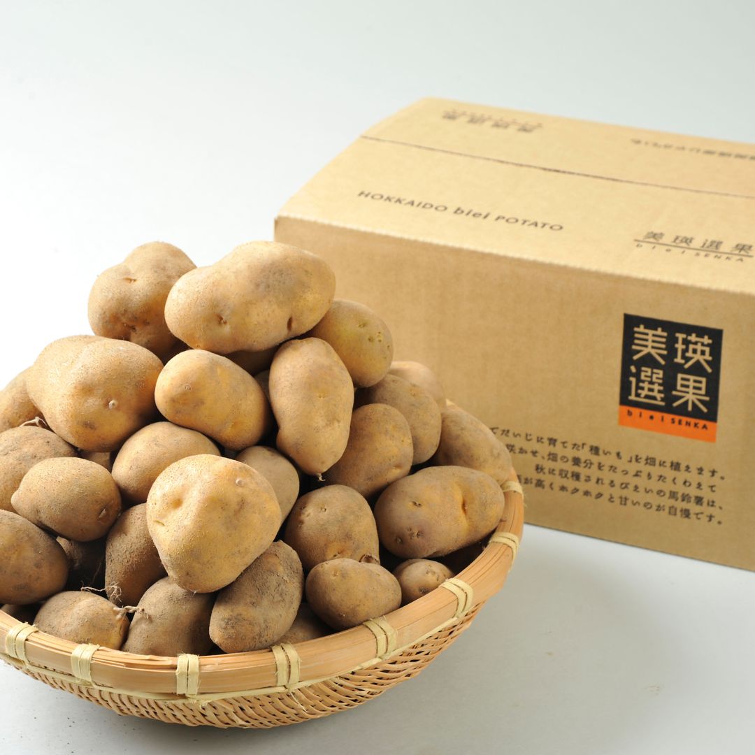 ≪令和７年産予約受付！≫美瑛選果　美瑛産男爵10kg[012-122]