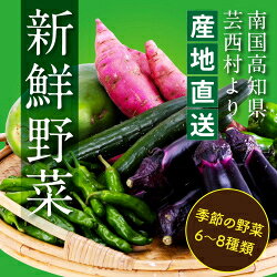 【ふるさと納税】【先行予約】野菜 朝採れ 野菜詰め合わせ 5000円 朝獲れ セット 芸西村の新鮮野菜6～8種類 野菜 詰め合わせ お試し 新鮮 食べ比べ 特産品 ピーマン 環境 ナス 旬 支援品 故郷納税 野菜セット 産地直送 こだわり栽培 環境に優しい ランキング 人気