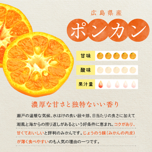 【2026年1月中旬～発送】上神農園のポンカン 約10kg ku011-008-25