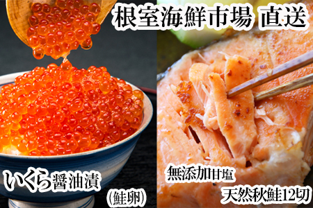根室海鮮市場＜直送＞いくら醤油漬け(鮭卵)70g×1P、天然秋鮭12切 A-28155