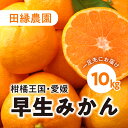 【ふるさと納税】【先行予約】【数量限定】田縁農園の早生みかん（生果）10kg ｜ 柑橘 みかん ミカン フルーツ 果物 愛媛 ※離島への配送不可 ※2024年12月中旬頃より順次発送予定