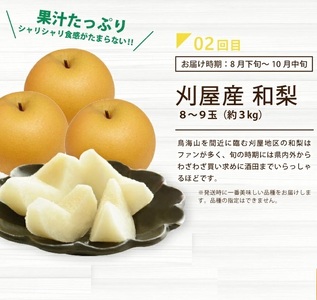 SD0095　【3回定期便】酒田の実り定期便2024 (アンデスメロン、刈屋梨、庄内柿)