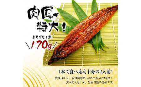 定期便【全12回/毎月お届け】大型サイズ ふっくら柔らか 国産うなぎ蒲焼き 2尾×12回 計24尾 約4080g /  うなぎ ウナギ 鰻 国産 蒲焼 蒲焼き たれ 人気 定期便 ふるさと納税【tkb