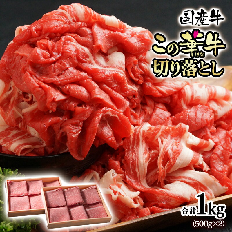 【ふるさと納税】宮崎有田牧場 赤身主体 国産牛切り落とし1kg 500g×2 オリジナルブランド『この華牛』＜1.2-26＞国産牛 切り落とし「1kg」500g×2P 牛肉 ふるさと納税 訳あり