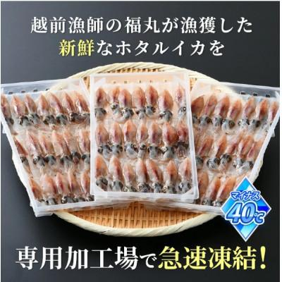 ふるさと納税 越前町 【のし付き】【越前海岸・美味直送シリーズ】ホタルイカ(刺身・しゃぶしゃぶ用) 約420g |  | 03
