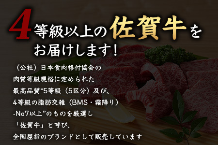 佐賀牛 焼肉セット 600g BBQ バーベキュー 焼き肉 バラ モモ D-191