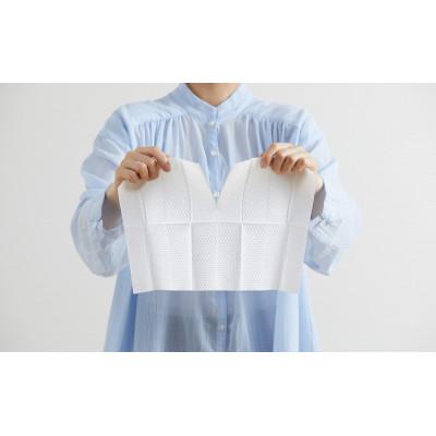 ふるさと納税 大河原町 【20枚(10枚入り×2個)×12個】トルクリーン トイレクリーナー アイリス[53753328] |  | 03