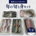 【ふるさと納税】切り身 セット 5～6パック 2～3人様用 冷凍 旬 魚 亀野さんにおまかせ 真空パック 揚げ物 焼き物 煮物 魚料理 ひうち灘漁師の店 亀吉丸 香川県 三豊市 お取り寄せ 送料無料 11000円