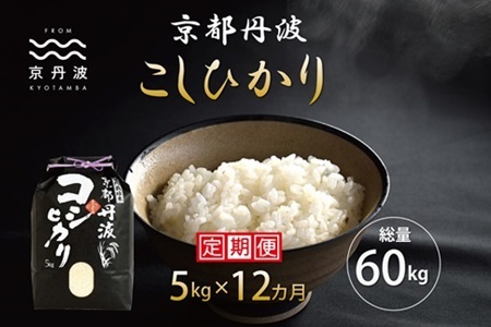 【12回定期便】 京丹波こしひかり 5kg×12カ月連続 合計60kg 令和7年産  [120MB001R]