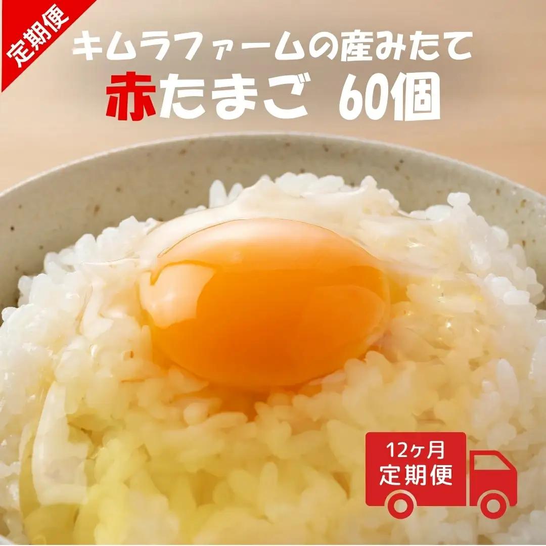 【卵 定期便12ヶ月】赤たまご 60個×12回 Mサイズ 産みたて キムラファーム | 新潟県 五泉市 たまご 玉子 鶏卵 定期便