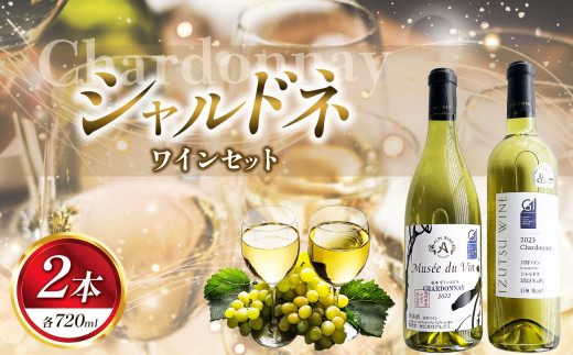 シャルドネ 2本セット（ 井筒ワイン・アルプス ） | お酒 酒 おさけ アルコール ワイン わいん 長野県 塩尻市