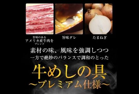 【2ヵ月定期便】牛丼 松屋 プレミアム仕様 牛めしの具 10個 冷凍 セット