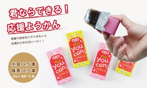 you can! ようかん10本入