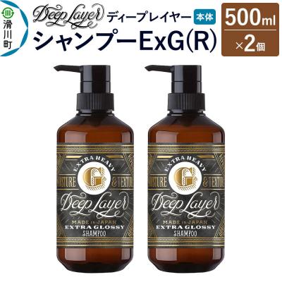 ふるさと納税 滑川町 ディープレイヤー シャンプー ExG 500mL×2個|19_sss-220201