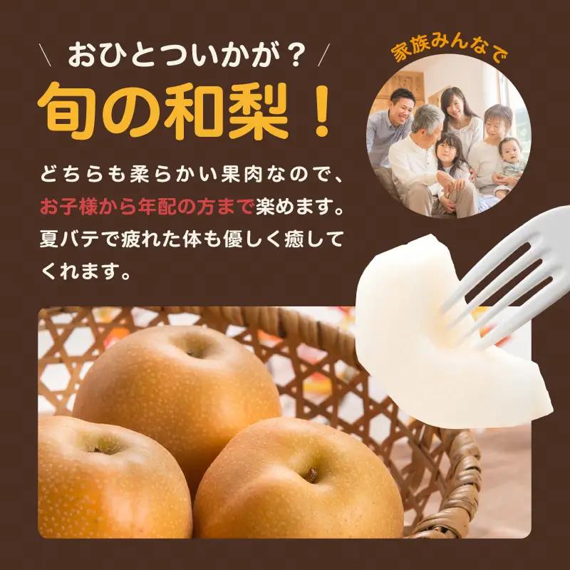南信州産 訳あり 梨 約3kg 【2026年先行予約】