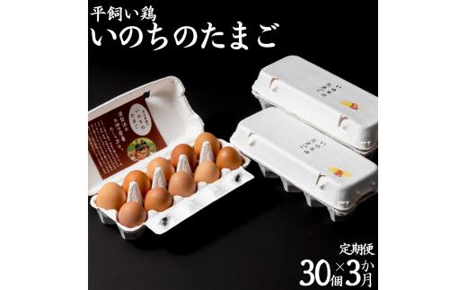 113M.平飼い鶏の『いのちのたまご』30個×3カ月〔定期便〕