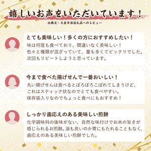 訳あり 割れせん 170g×10袋 割れせんべい