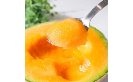 高級土佐アールスメロン2玉入り メロン めろん 赤白セット 赤玉×白玉 3kg以上 舐瓜 果物 くだもの フルーツ デザート スイーツ おやつ 高級 常温 配送