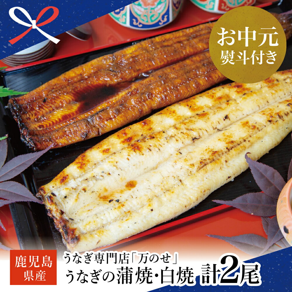 【ふるさと納税】【お中元ギフト】鹿児島県産 鰻蒲焼・白焼きセット 各1尾 (約160g) うなぎ専門店「万のせ」 ジューシー スタミナ ウナギ 蒲焼き 国産 うな重 たれ だし 出汁付き 山椒 わさび 冷凍 南さつま市 贈り物 ギフト 贈答用 送料無料 のし対応 お中元熨斗付き