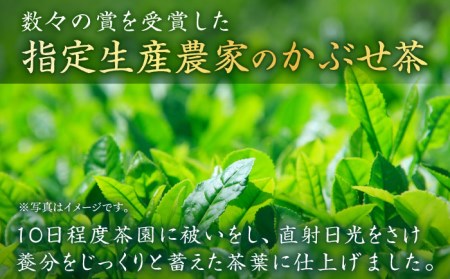 【指定生産農家のかぶせ茶】 そのぎ茶 (極上) 120g×5袋入り /茶 お茶 日本茶 茶葉 お茶 日本茶 緑茶 茶葉 お茶 日本茶 緑茶 茶葉 お茶 日本茶 緑茶 茶葉 お茶 日本茶 緑茶 茶葉 お