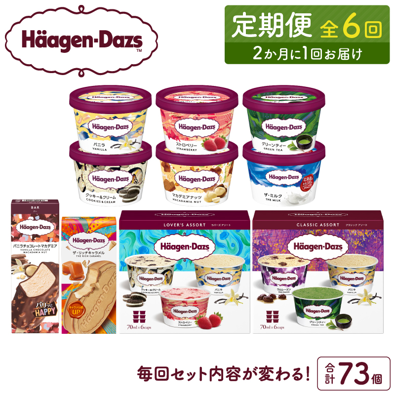 ＜全6回・隔月＞食べ比べ定期便！ハーゲンダッツ人気 セット アイス スイーツ デザート_H0016-256